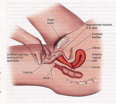g_spot_pictue_2.jpg