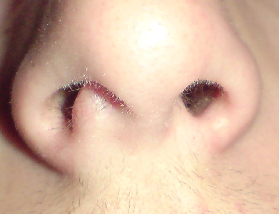 DSC02191.JPG