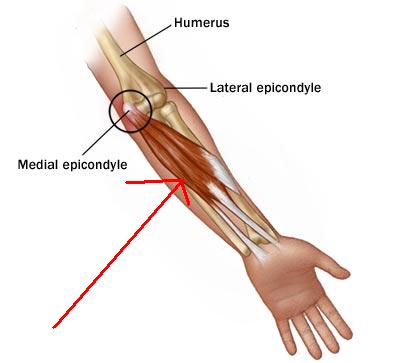 elbow.jpg