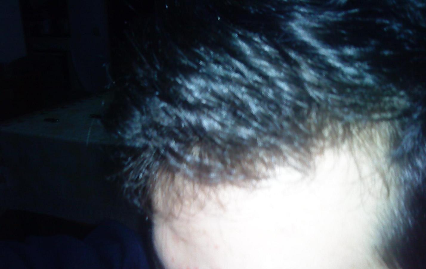 DSC00031.JPG