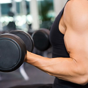 biceps_965771.jpg