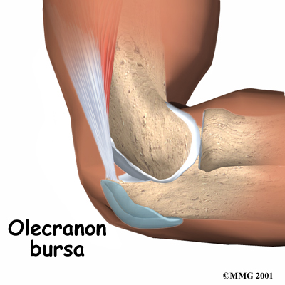 elbow_bursitis_anatomy01.jpg