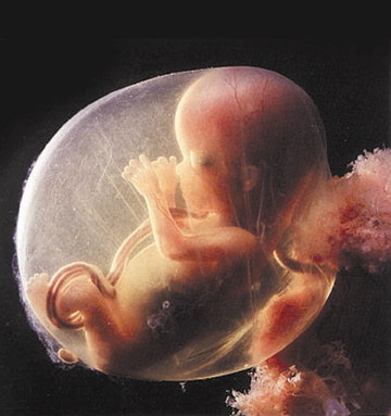 baby.jpg