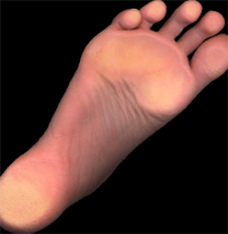 foot.png