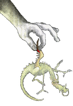dragonLittleDead.jpg