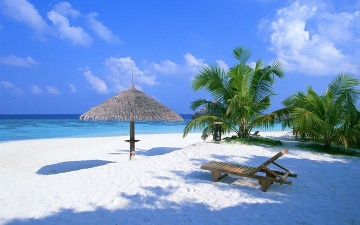 beach_chair_holiday_sea_tree_Favim.com_446028.jpg