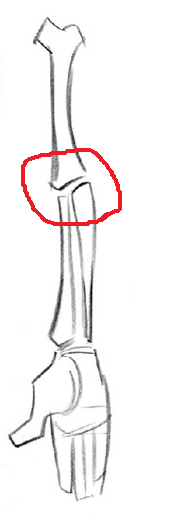 Untitled.png