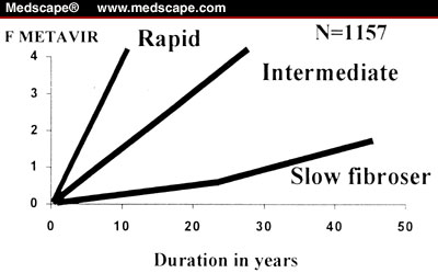 sld2001_02_poyn_fig4.jpg