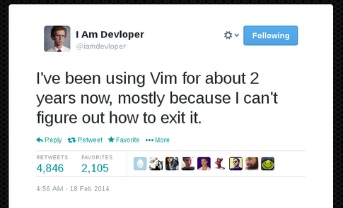vim.png