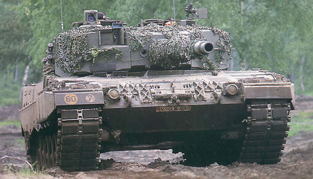 leo2_4.jpg