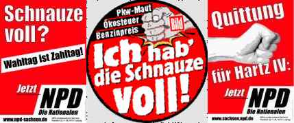 NPD_BILD.jpg