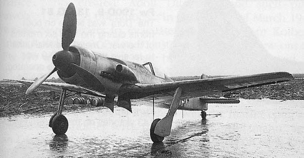 fw_190_0109.jpg