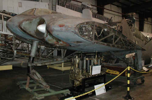 go_229_tri_small1.jpg