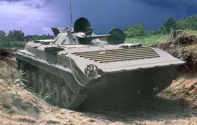 bmp1_1_.jpg