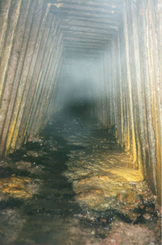 1025874642_1_.jpg