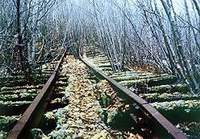 rails_1_.jpg