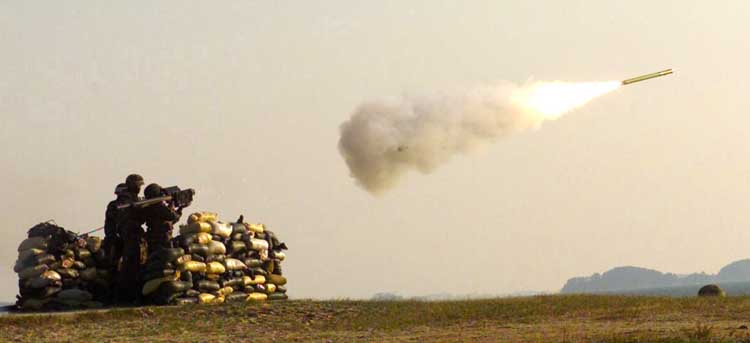 stinger_21.jpg