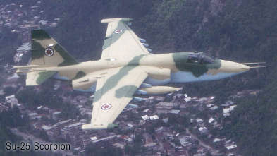 a009.jpg