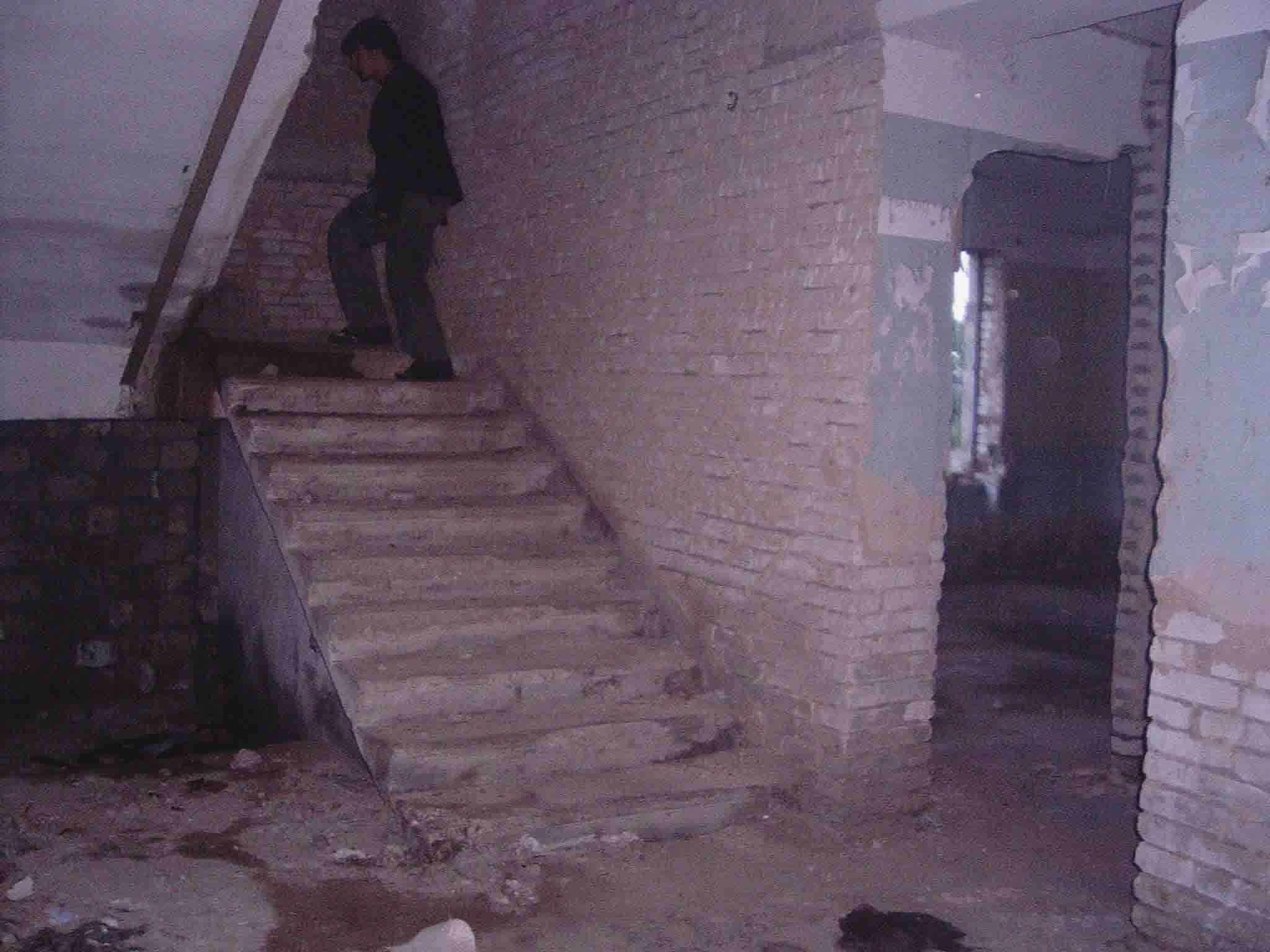 IMAG0043.jpg