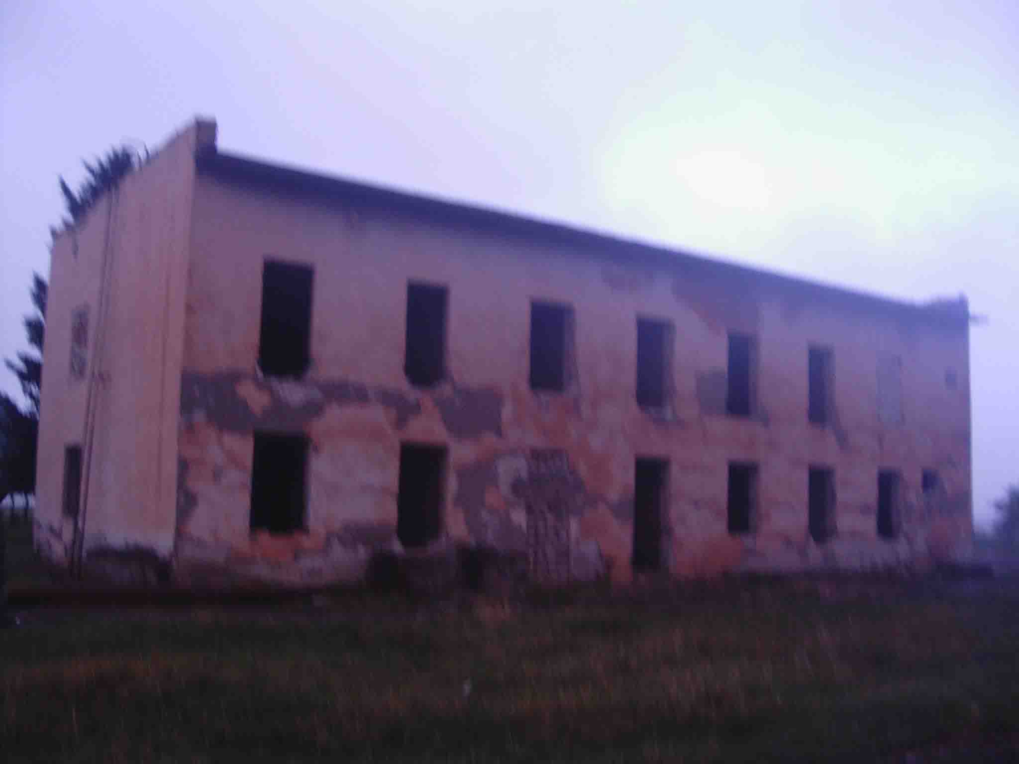 IMAG0042.jpg