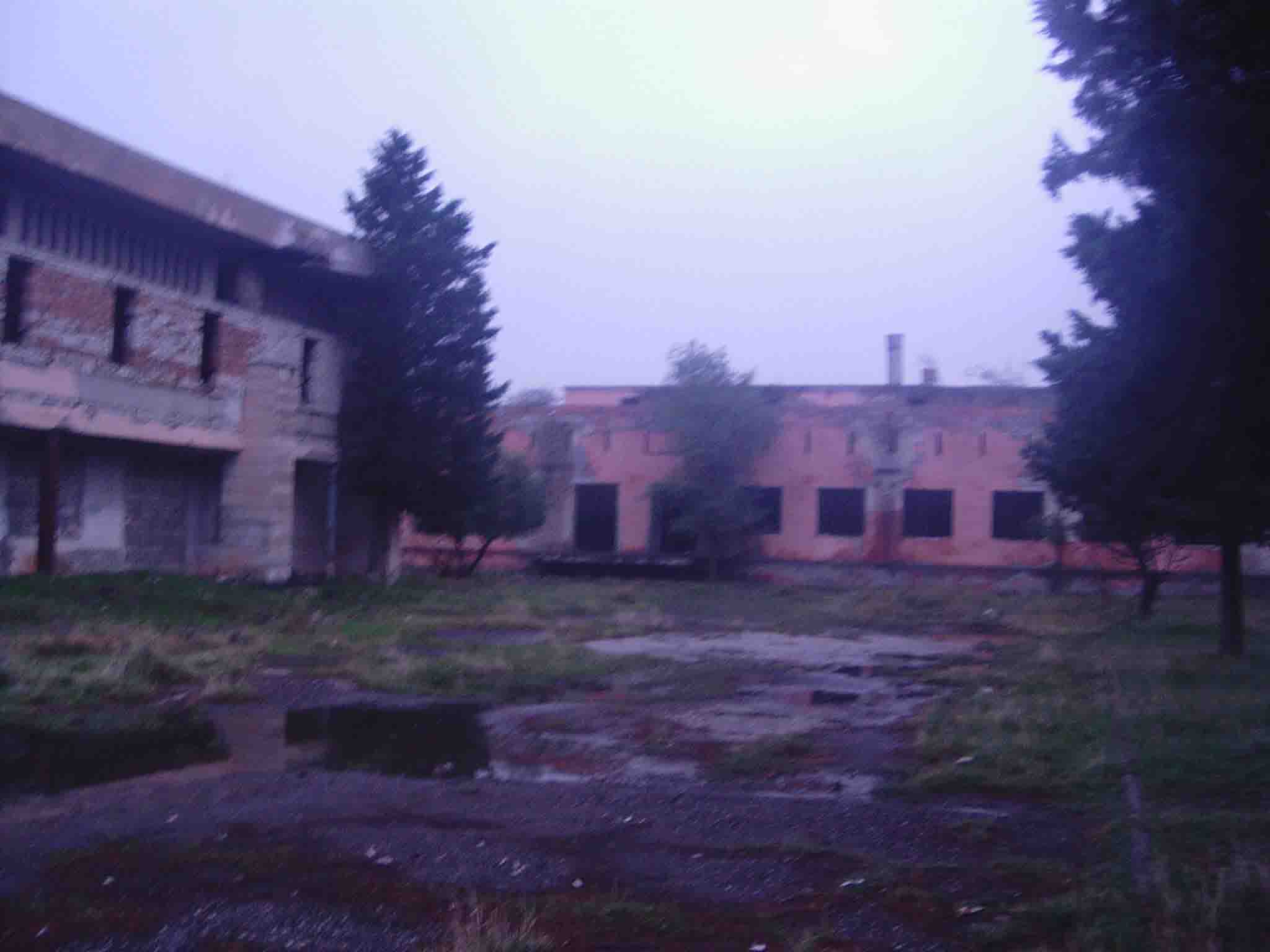 IMAG0046.jpg