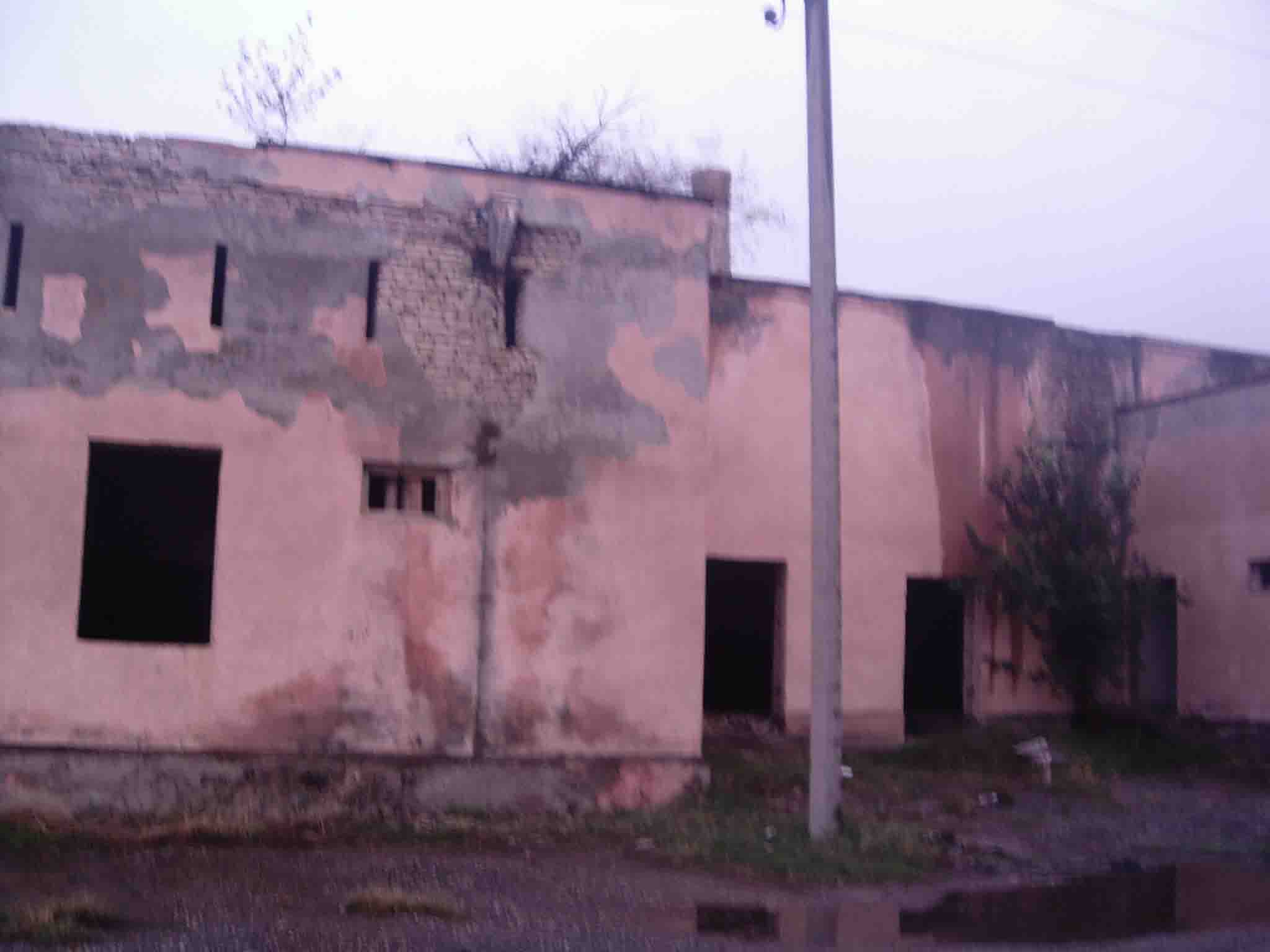 IMAG0037.jpg