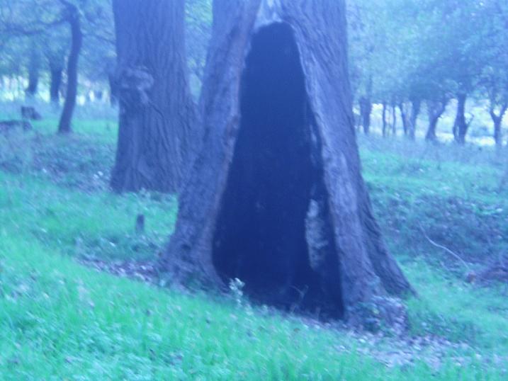 444.JPG