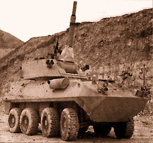 piranha_2_ams.jpg