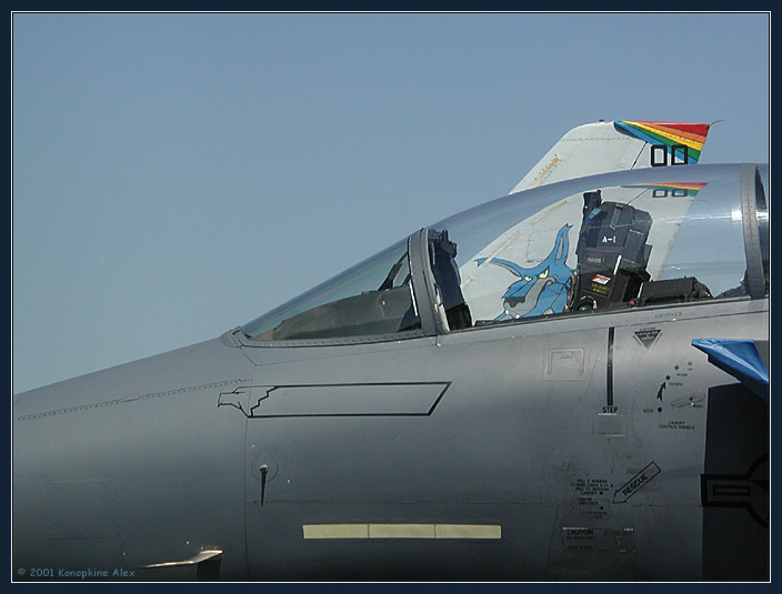 pilot.jpg