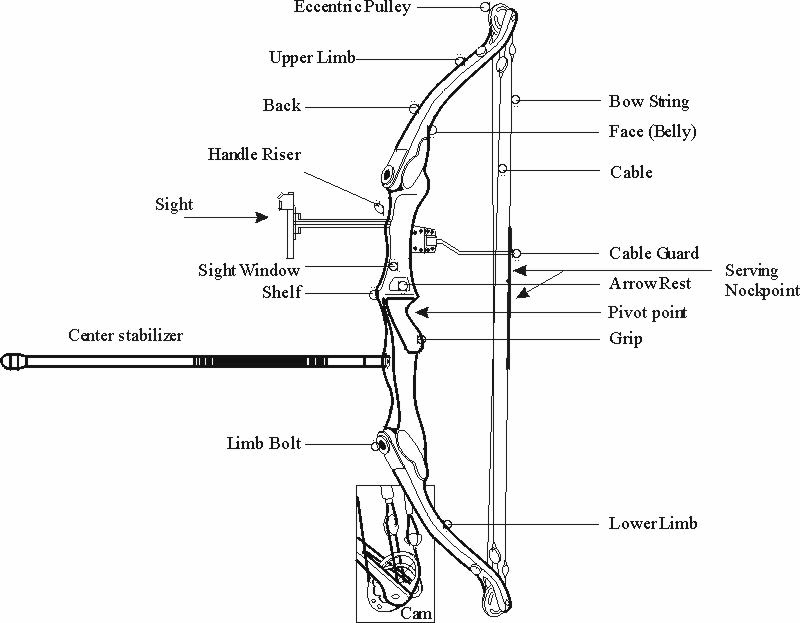 compoundbow.gif