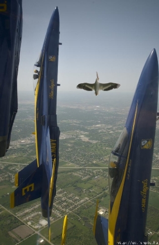 blue_angels.jpg