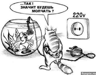 1101jk7.jpg