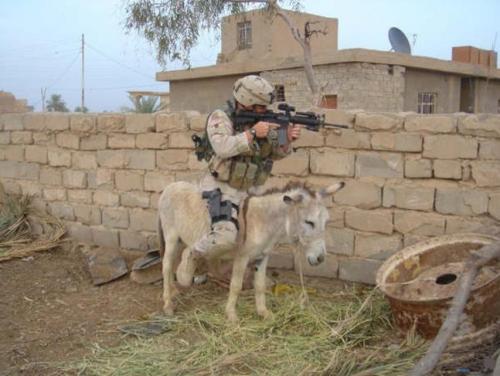 eweapons_1124901776_i_7221.jpg