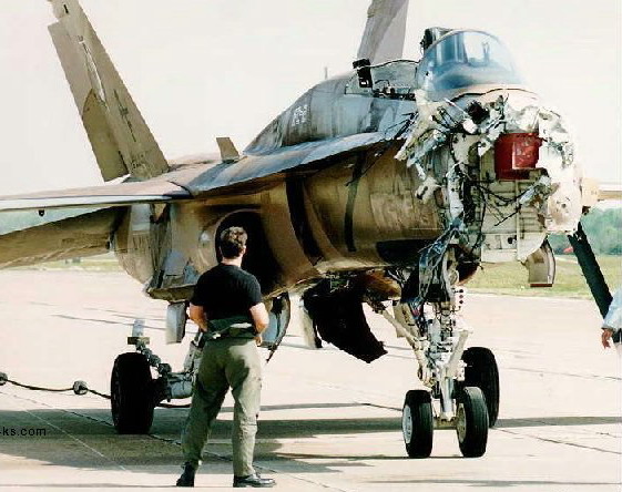 F18sggdfs1_1_.jpg