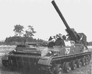 tulpan_2.jpg