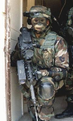chimpanze_armee.jpg