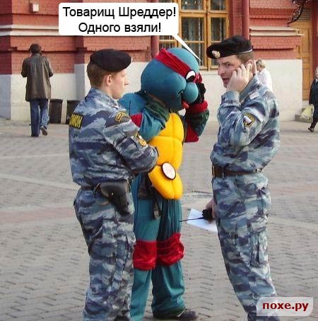 1168880242_cherepashka.jpg