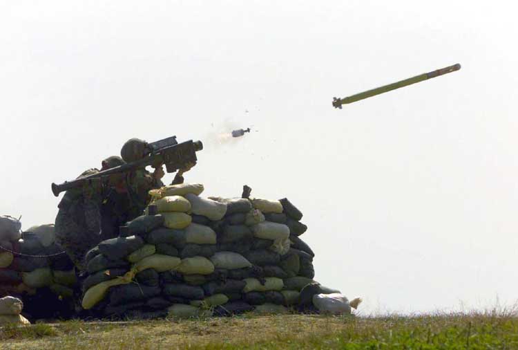 stinger_20.jpg
