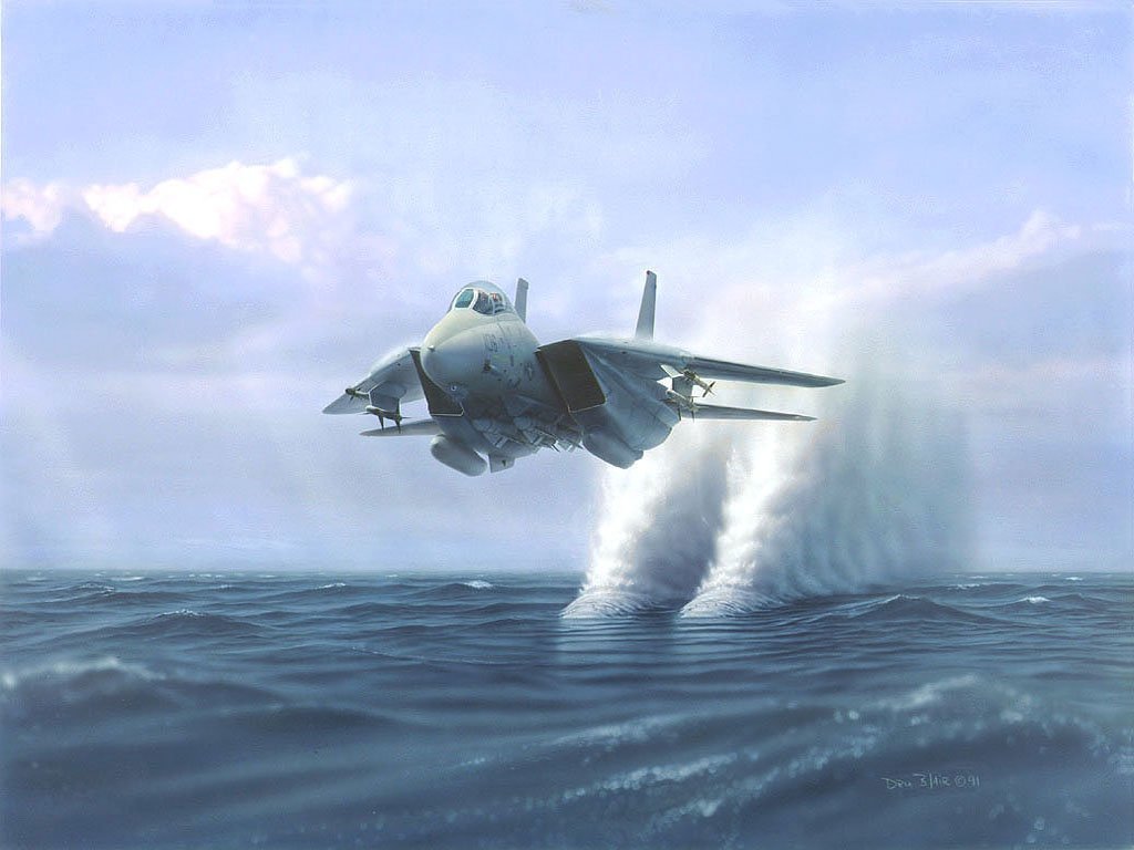46_f15_eagle_aviation_freedesktopwallpaper_l.jpg