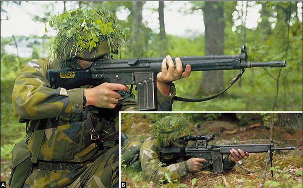 G3_swede_AK4.jpg