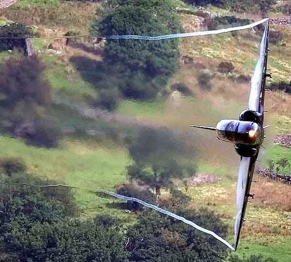 hawk1.jpg