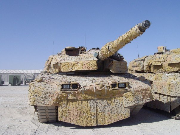 Leopard2_75stor.jpg
