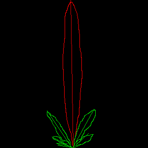 r1.gif