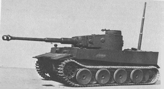 tiger1.jpg