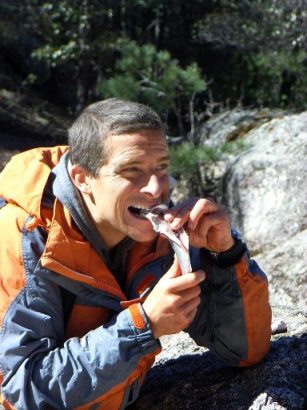 Bear_Grylls.jpg