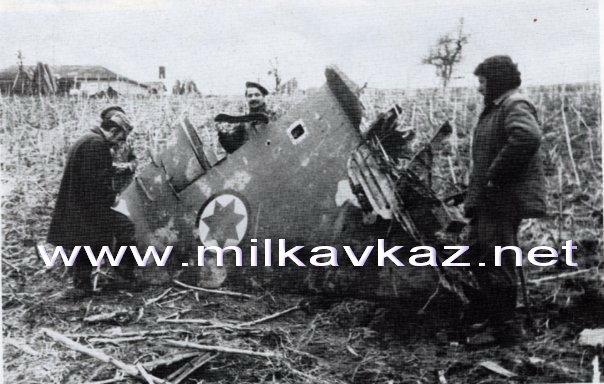 qarTuli_su25_nacilebi.jpg