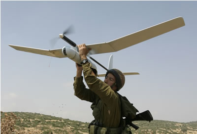 New_Skylark.jpg