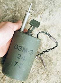ozm_3_1.jpg