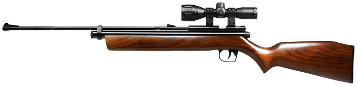 Crosman_2260_Special_Edition_CR_2260SE_rifle_zm.jpg