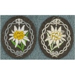 g_ss_gebirgsjager_mountain_troop_sleeve_edelweiss_mint_56e76.jpg